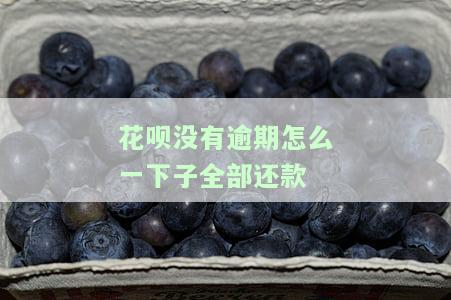 花呗都按时还、没逾期，但未还清会影响征信吗？已还清但无法继续使用该如何解决？