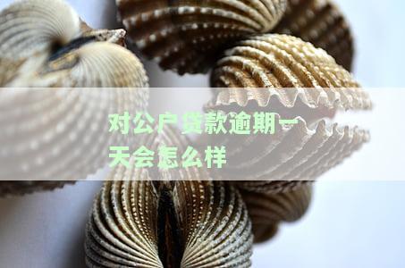 对公贷款逾期几天算不良？影响信用、是否上征信？