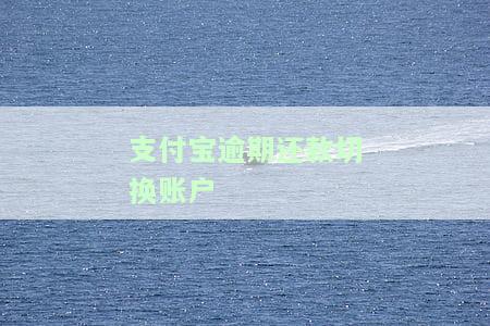 支付宝逾期还款切换账户的解决方法：如何在逾期后更换账号避免相互影响?