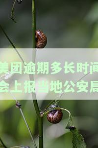 美团逾期十几天说移交公安局：真的吗？逾期多久会报警？