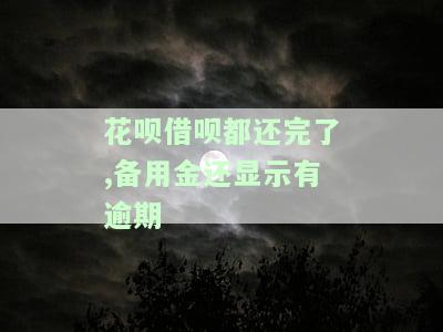 还清了备用金它还说存在花呗借呗逾期还清才可以用，但为何还清备用金后仍无法使用花呗？