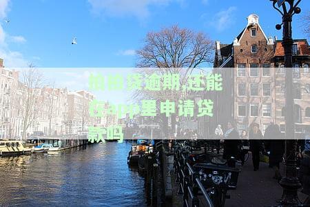拍拍贷逾期,还能在app里申请贷款吗