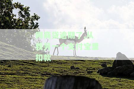 网商贷逾期对支付宝有何影响？