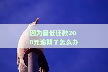因为最低还款200元逾期了，应该如何处理？忘记还几百块算逾期吗？最低还款差20说逾期，解决方案是什么？