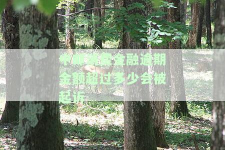 中邮消费金融欠款2600逾期一年多了，会强制执行吗？