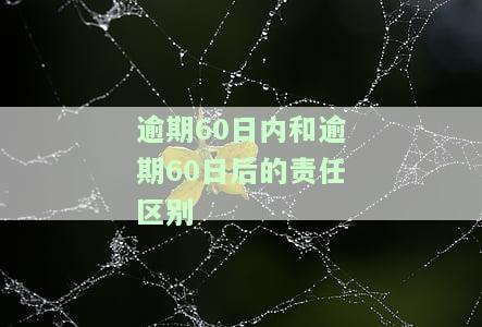 逾期60天不超过90天：影响、修复、使用及是否上黑名单全解析
