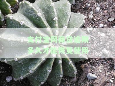 支付宝网商贷逾期多久能恢复使用？严重情况及解决办法