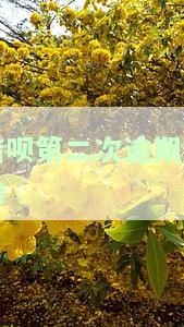 借呗第二次逾期影响