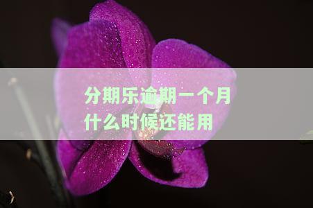 分期乐逾期一个半月：会要求一次性还清所有欠款吗？逾期一个月后能否继续借款？