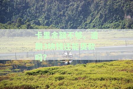 卡里余额不够。逾期3块钱还能贷款吗?