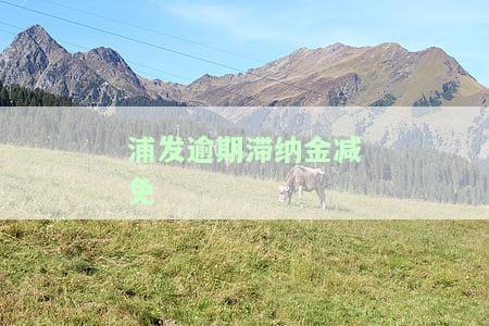 浦发银行滞纳金合理与否？原因、计算方式及违约金利息全解析