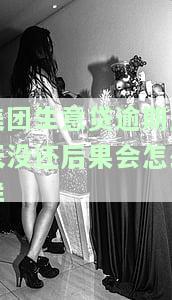 美团生意贷逾期1天上征信吗？影响大吗？解决办法是什么？