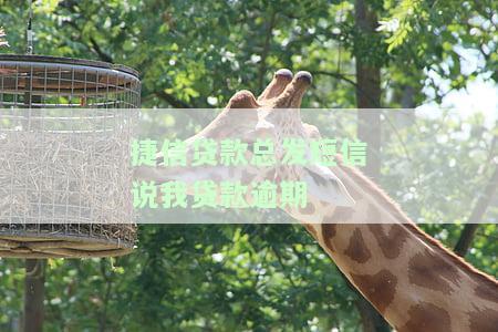 捷信贷款逾期未还，频繁收到催款短信如何处理？
