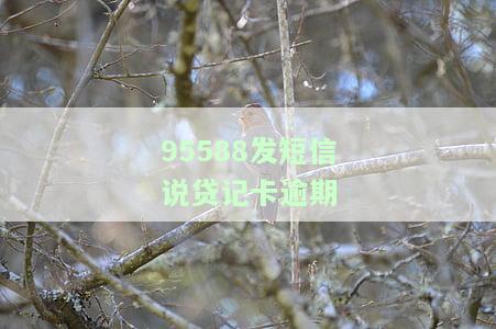 95588发短信说贷记卡逾期怎么办？如何处理贷款逾期问题？