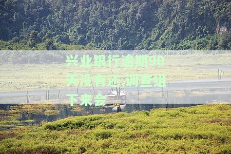 兴业银行逾期多久会开始电话催收？影响家人吗？
