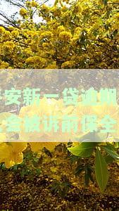 平安新一贷逾期多久会被诉前保全-平安新一贷逾期多久会被起诉?