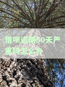 借呗逾期50天严重吗？如何解决？逾期可能面临的后果包括被起诉，能否协商解决？