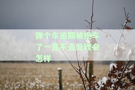 弹个车逾期被拖车一直不去处理的后果及应对方法