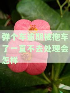 弹个车逾期拖车后没钱办后续，是否会被告上法庭？