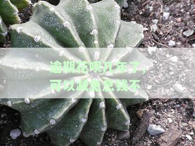 逾期花呗几年了，能否减免息钱不还利息？真实情况及处理方法