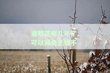逾期花呗几年了,可以减免息钱不