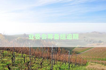 业委会筹备组逾期会怎么样？超期无效，将面临处理与处罚。