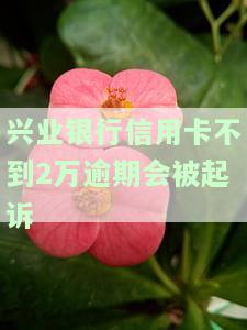 欠兴业银行信用卡4万逾期被报案，会坐牢吗？银行称要起诉是否真实？
