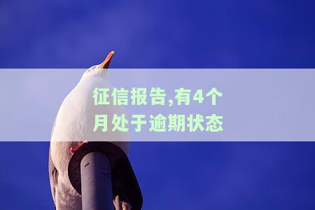 征信报告,有4个月处于逾期状态