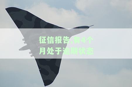 征信报告,有4个月处于逾期状态