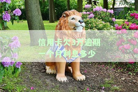 信用卡3万逾期一年应还多少钱？包括利息和费用