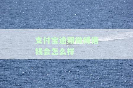 微博、借呗逾期多久上征信？影响花呗使用吗？