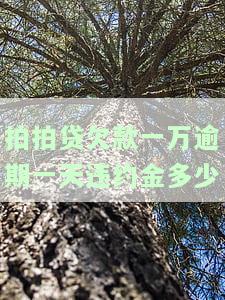 拍拍贷借款一万逾期一年，利息如何计算？是否需要偿还16000元？会否上门催收？