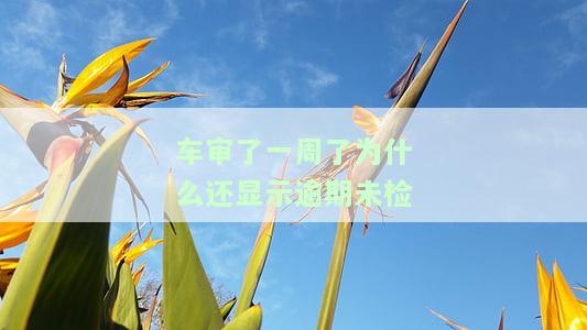 审车超出一个星期会怎样？处理、处罚及解决方法全解析