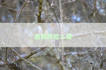 逾期分级：逾期贷款的程度如何划分？