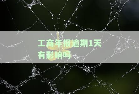 工商年报逾期1天有影响吗