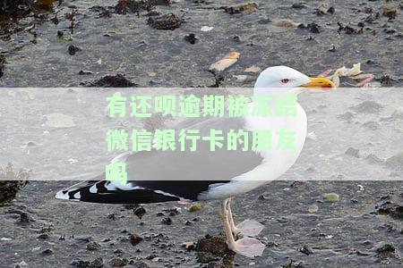 还呗是否会冻结微信、支付宝账户及余额？
