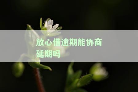 放心借逾期可以协商吗？逾期快一年，协商电话及还款方案全解析！