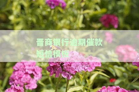 晋商银行逾期催款短信模板-晋商银行逾期催款短信模板图片