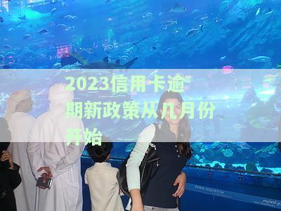 2020年信用卡逾期新政策解读：全面了解最新规定与影响