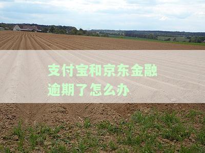 支付宝和京东金融逾期不还，会如何影响你的信用记录？