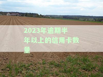 2020年信用卡逾期下半年最新政策全解析