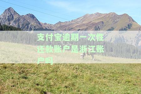 支付宝逾期一次性还款账户是浙江的，安全吗？逾期后一次性还清能否免罚息？一次性结清后账户是否还能使用？