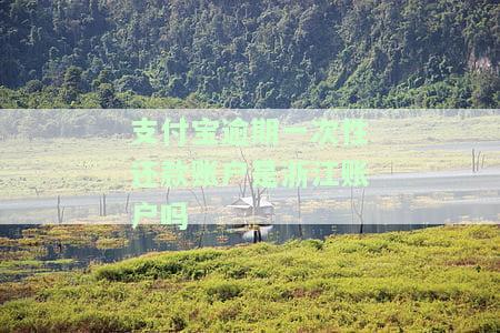 支付宝逾期后一次性还清能否免罚息？真的吗？