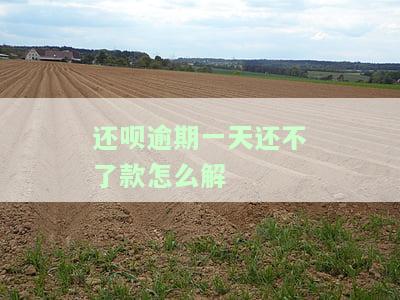 还呗逾期一天还不了款？别急！这样做就能解决问题！