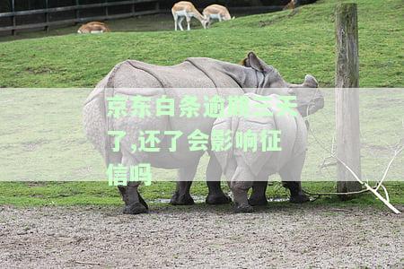 京东白条逾期三天了,还了会影响征信吗-京东白条逾期三天了,还了会影响征信吗