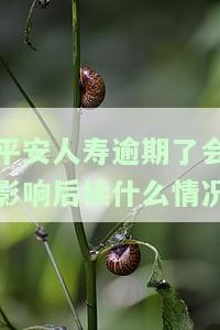 平安人寿逾期了会影响后续什么情况