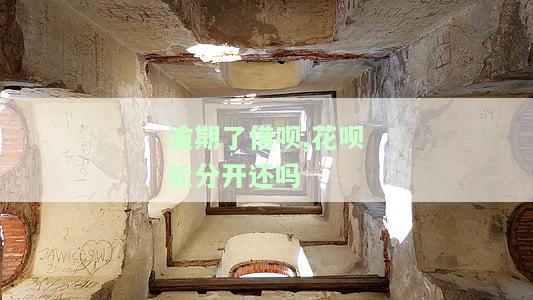借呗和花呗逾期后还款，能否继续使用？花呗逾期、借呗可用性问题解决方案