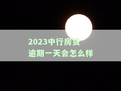 中行房贷延迟一天还款的影响及处理方法