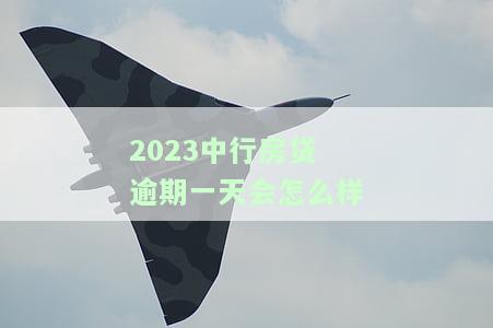 中行房贷还款逾期一天：补救办法及影响征信情况解析