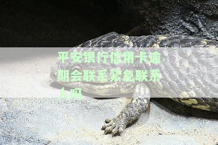 有平安信用卡逾期很长时间的吗？后果严重吗？
